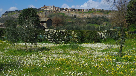 春の海！　Ｏｒｖｉｅｔｏ