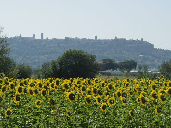 始まった夏！Ｏｒｖｉｅｔｏ